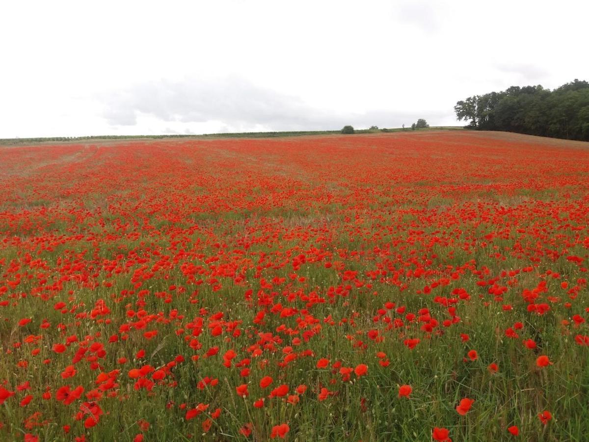 Chalet Bois Pleine Campagne A Pontigny Buitenkant foto