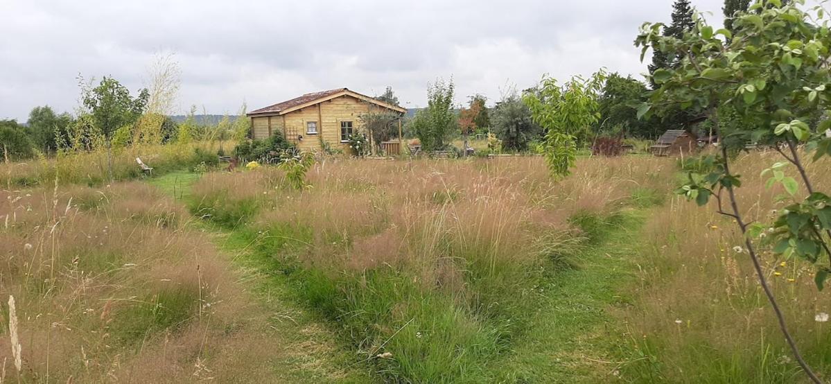 Chalet Bois Pleine Campagne A Pontigny Buitenkant foto