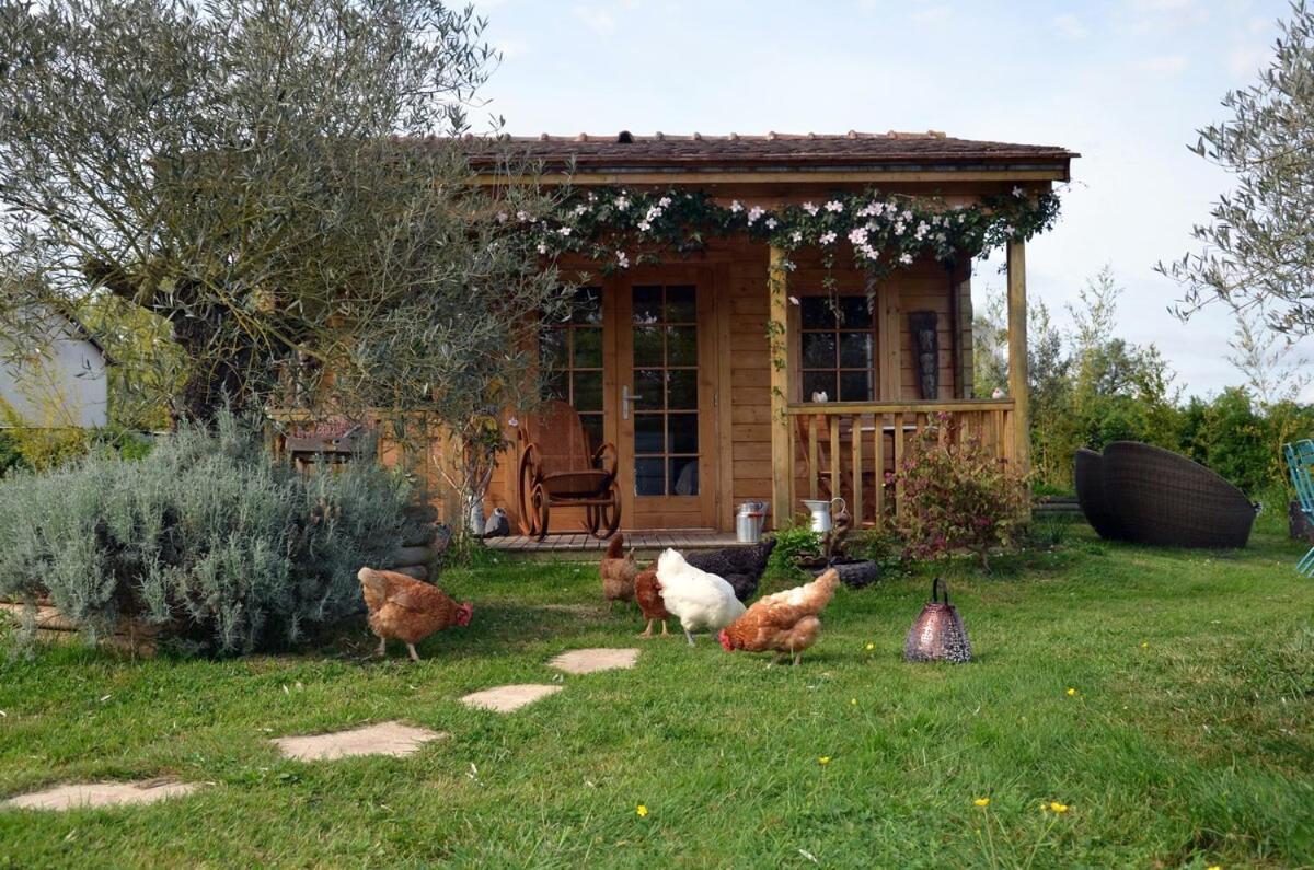 Chalet Bois Pleine Campagne A Pontigny Buitenkant foto